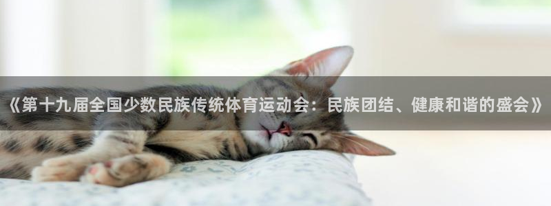 3377体育官方平台体育：《第十九届全国少数民族传统
