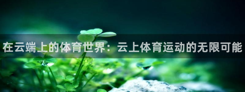 3377体育官方正版app集团官网首页：在云端上的体