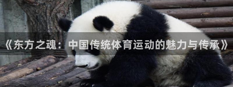 3377体育官网下载平台假的吗是真的吗：《东方之魂：中国传统