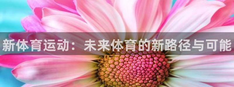 3377体育官网下载招商电话：新体育运动：未来体育的新路径与