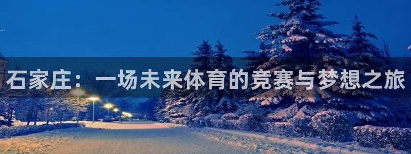 3377体育官方正版app集团官网网址：石家庄：一场