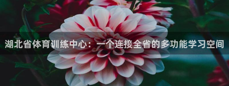 3377体育官网下载招商电话号码是多少啊