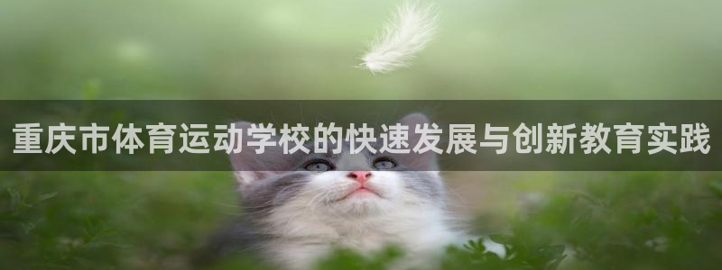 3377体育官方正版app集团E.ON：重庆市体育运