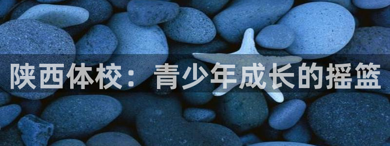 3377体育官网下载平台
