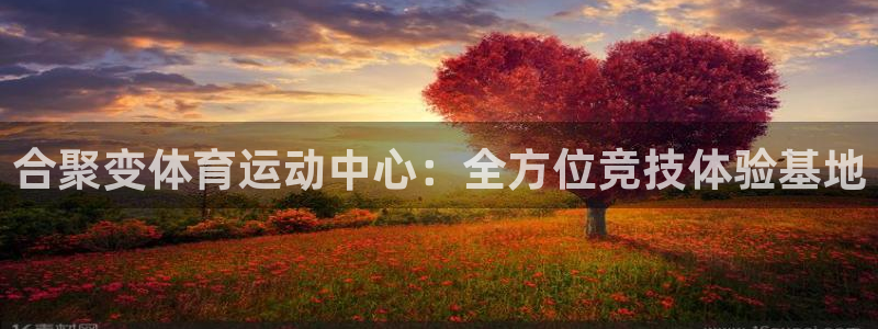 3377体育官方正版app娱乐网站：合聚变体育运动中