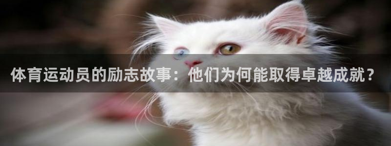 3377体育官网下载招商电话地址