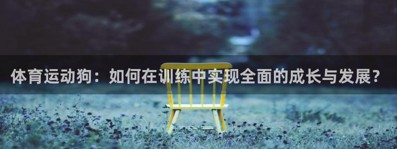 3377体育官方正版app集团官网网址：体育运动狗：如何在训
