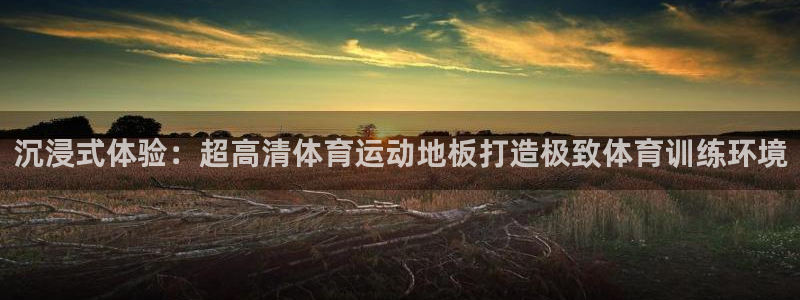 3377体育官网下载平台是正规平台吗知乎：沉浸式体验：超高清