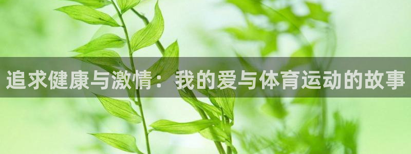 3377体育官方正版app神州：追求健康与激情：我的爱与体育