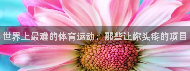 3377体育官网下载平台注册流程图：世界上最难的体育运动：那