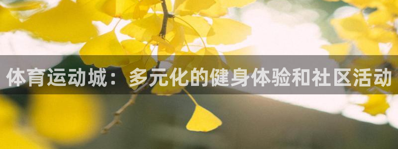 3377体育官方正版app集团官网网址：体育运动城：多元化的