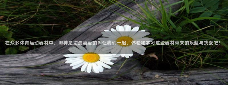 3377体育官网下载平台注册流程图：在众多体育运动器材中，哪