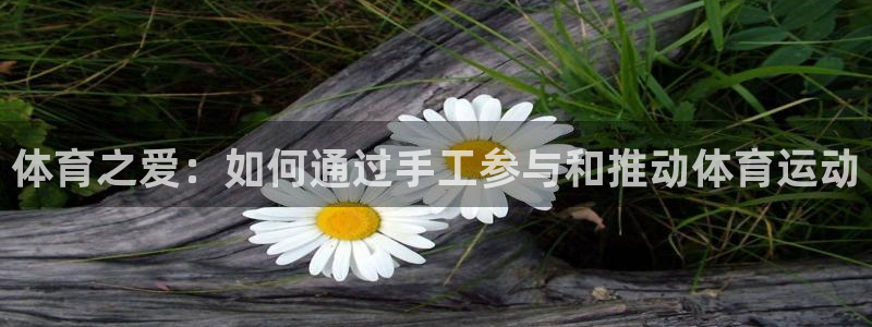 3377体育官网下载娱乐