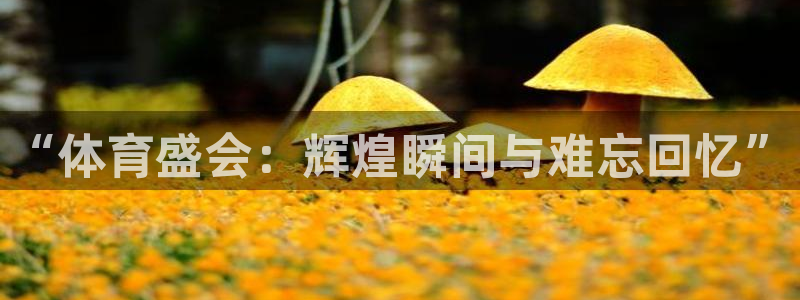 3377体育官方正版app娱乐网站：“体育盛会：辉煌瞬间与难