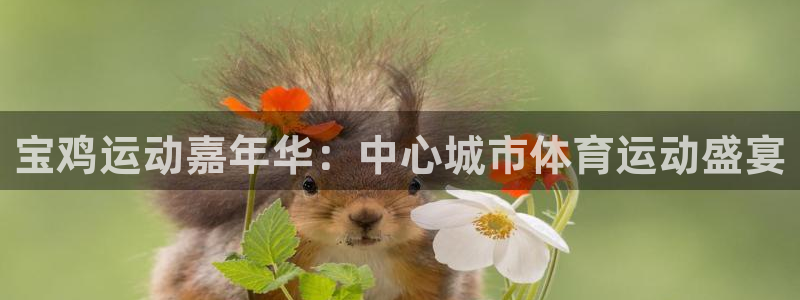 3377体育官网下载平台注册流程视频：宝鸡运动嘉年华