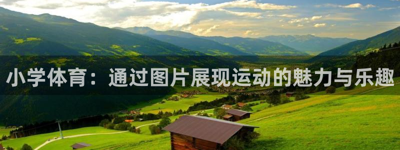 3377体育官网下载平台APP