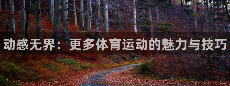 3377体育官网下载开户：动感无界：更多体育运动的魅力与技巧