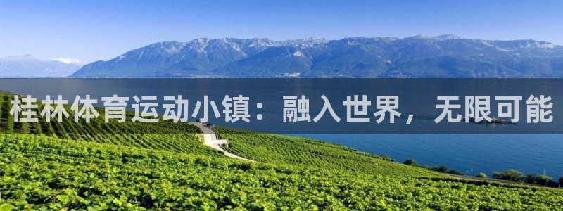 3377体育官方正版app官网