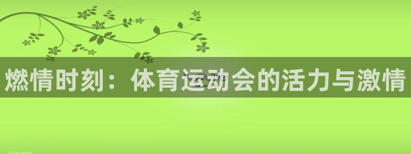 3377体育官网下载平台注册流程图：燃情时刻：体育运动会的活