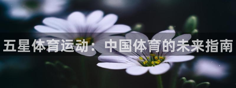 3377体育官方正版app娱乐平台