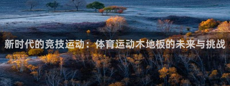 3377体育官网下载平台注册要钱吗安全吗：新时代的竞技运动：