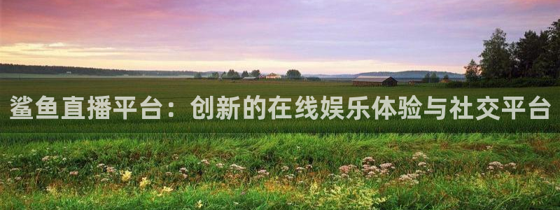 五星体育台节目：鲨鱼直播平台：创新的在线娱乐体验与社交平台