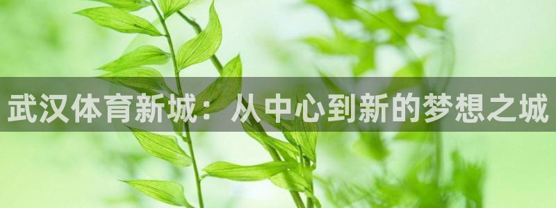 3377体育退款最新政策：武汉体育新
