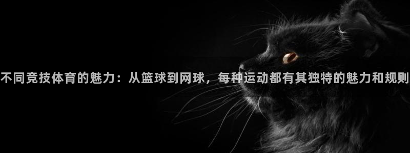  3377体育出款正常不：不同竞技体育的魅力：从篮球到网球，每