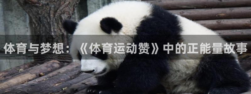 3377体育官网：体育与梦想：《体育运动赞》中的正能量故事