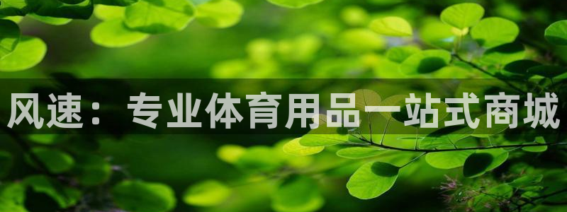  3377体育是哪的：风速：专业体育用品一站式商城