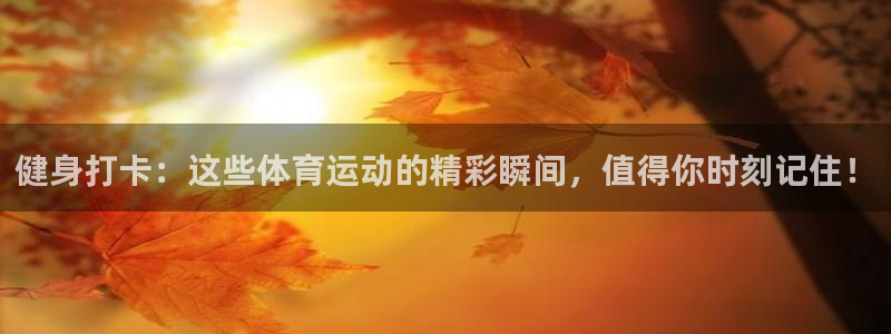 3377体育是什么：健身打卡：这些体育运动的精彩瞬间，值得你