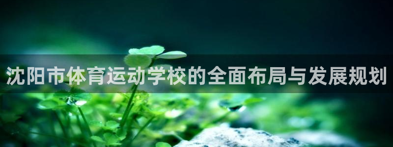 3377体育官网下载：沈阳市体育运动学校的全面布局与发展规划