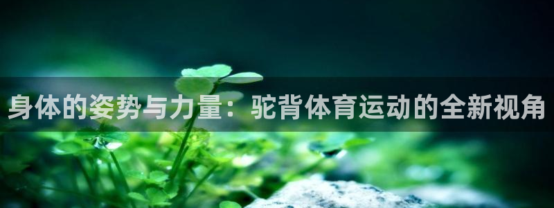 3377体育可信吗：身体的姿势与力量