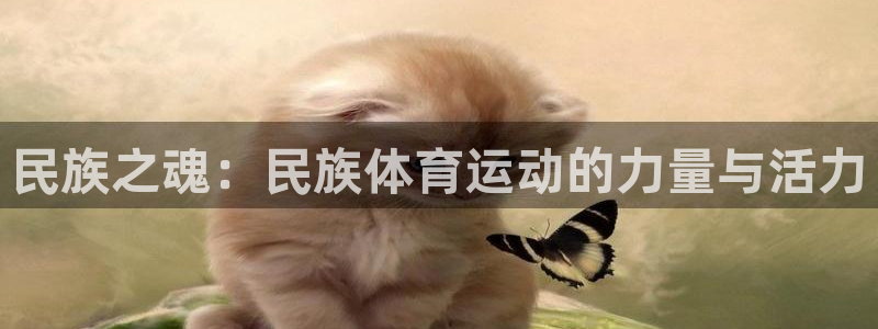 3377体育官网下载平台是正规平台吗知乎：民族之魂：