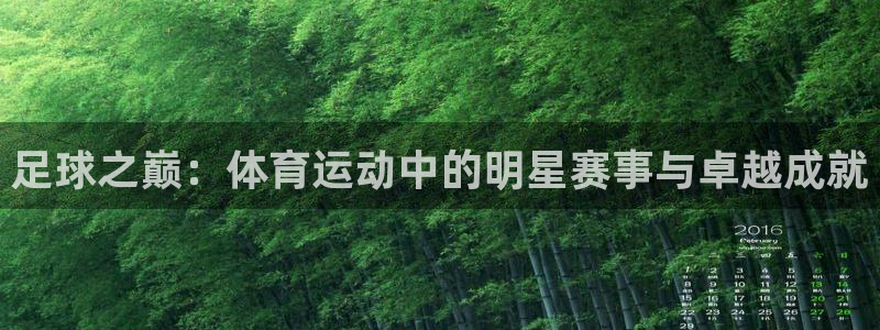 3377体育官网下载招商电话号码是多少啊：足球之巅：体育运动