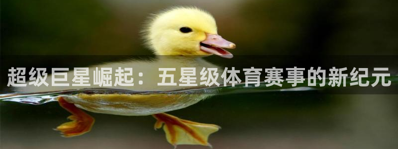 五星体育在线直播app：超级巨星崛起：五星级体育赛事的新纪元