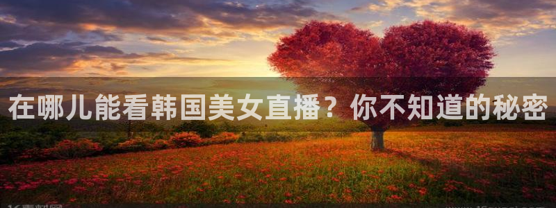 五星体育刘鹏：在哪儿能看韩国美女直播？你不知道的秘密