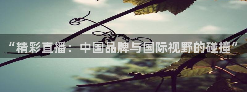 能看五星体育的电视app：“精彩直播：中国品牌与国际视野的碰撞”