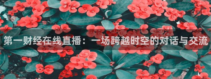 上海广播电视台五星体育频道直播：第一财经在线直播：一场跨越时空的对话与交流